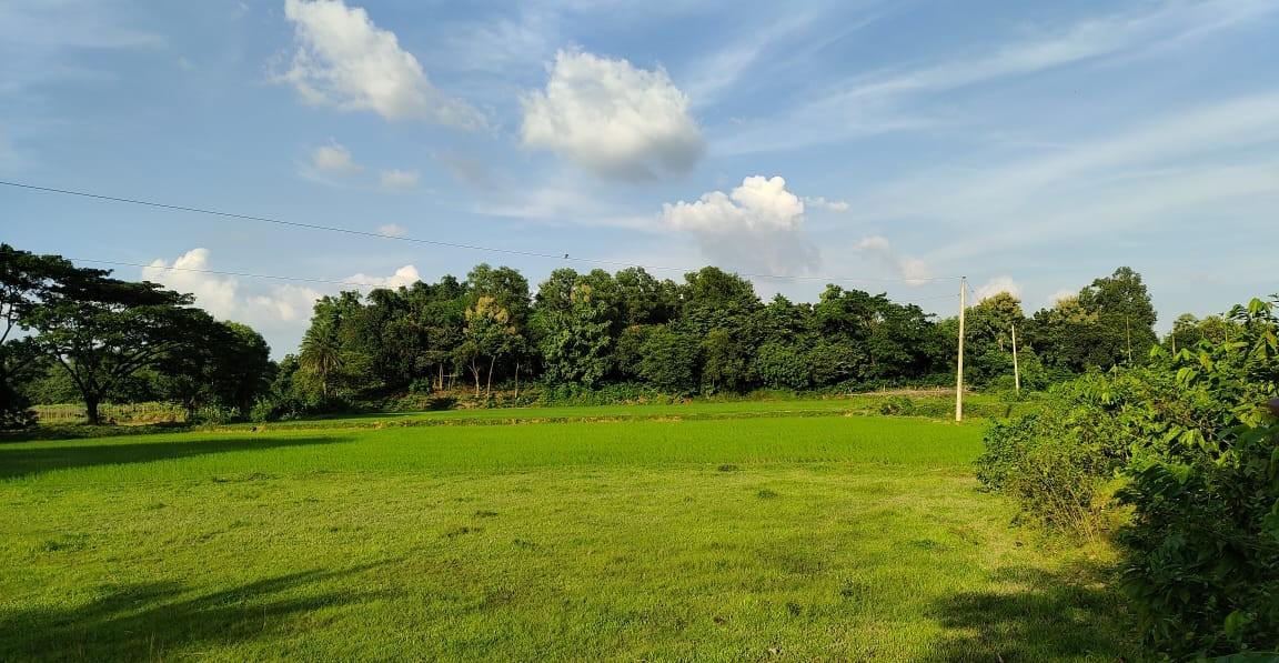 পাবনায় সুজানগরে আমাদের জমিটি বিক্রি হবে। 